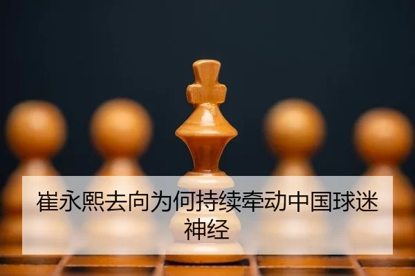 cui-yong-xi-qu-xiang-wei-he-chi-xu-qian-dong-zhong-guo-qiu-mi-shen-jing-2-280.jpg